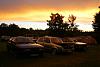DSC01318.jpg