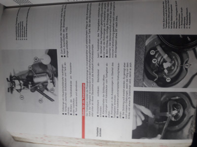 20240908_073839.jpg